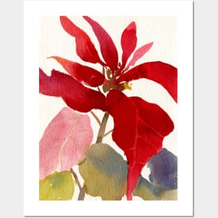 Poinsettia Watercolor Posters and Art